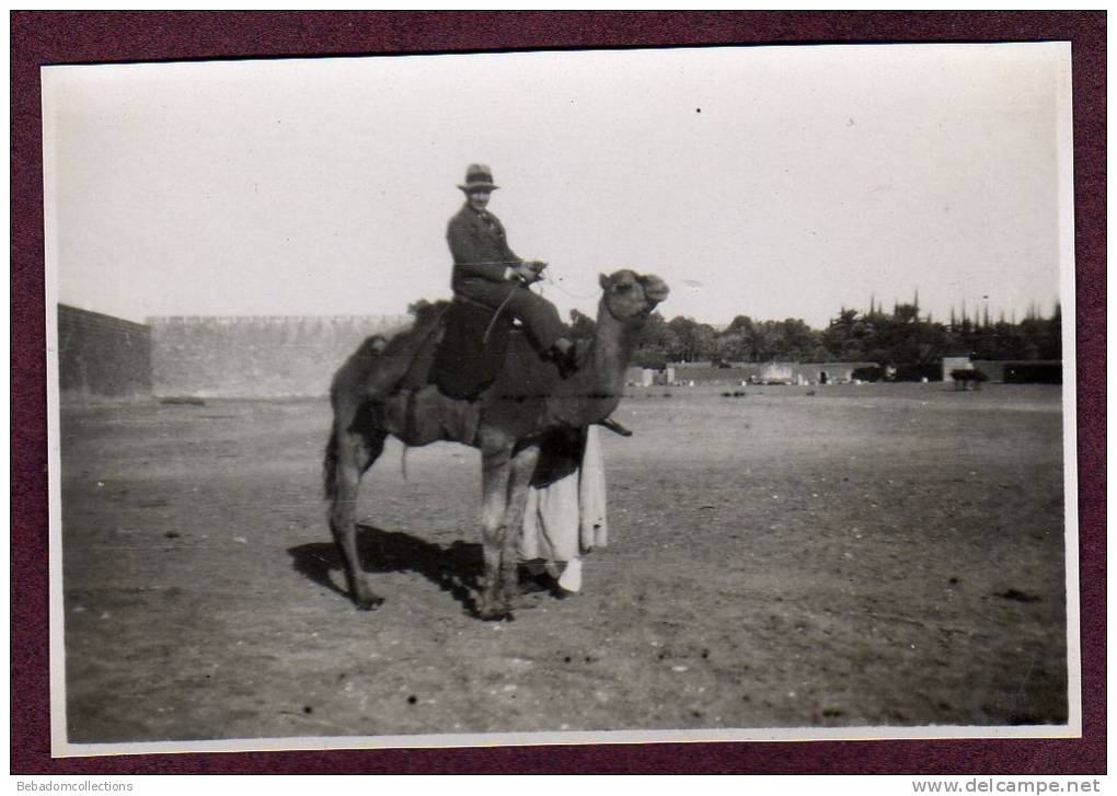 Belle photo ALGERIE 1932 - EL GOLEA - CHAMEAU