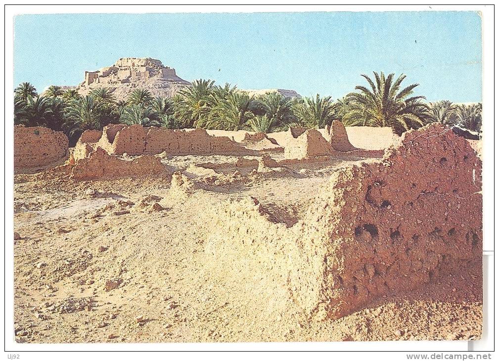 CPSM ALGERIE - EL GOLEA - La Citadelle - 2639