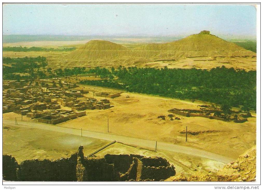 Algérie - EL GOLEA - Vue générale - Imp. Kandour BEO Alger n° 774