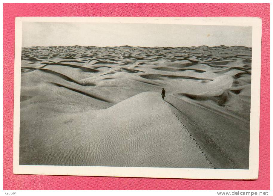 CPA  ALGERIE  -  EL GOLEA  -  10  Grand Erg Occidental