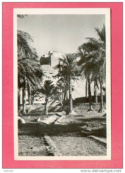 CPA  ALGERIE  -  EL GOLEA  -  1  La vieille forteresse berbère (Karr), XIe siècle
