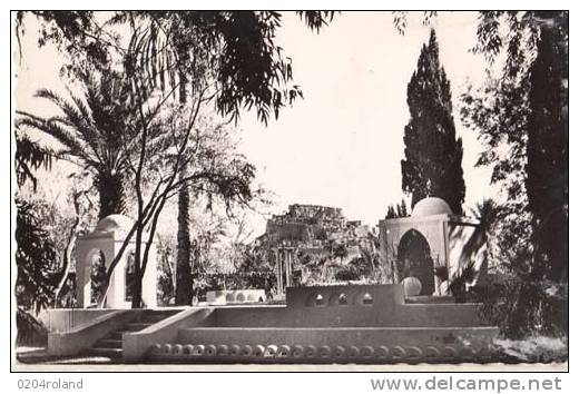 Algérie - El Golea   - Le Jardin de l'Annexe  Achat immédiat