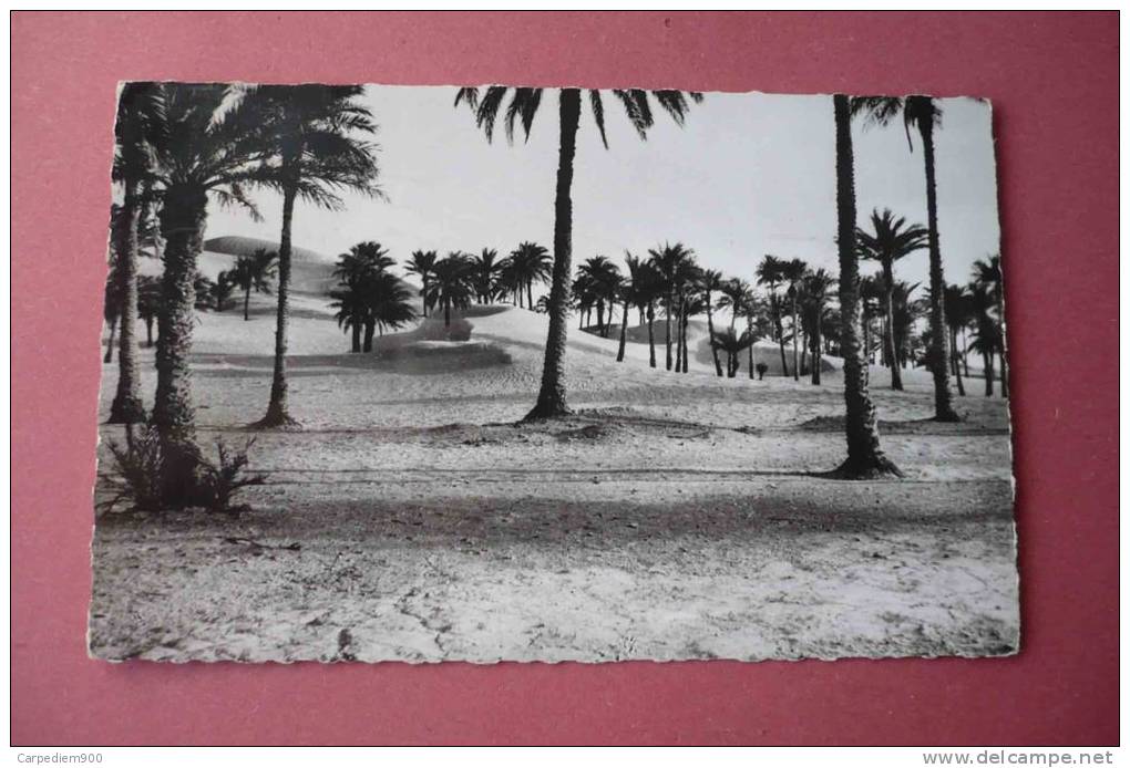 [05642] EL GOLEA - Palmeraie envahie par les Dunes (1955)