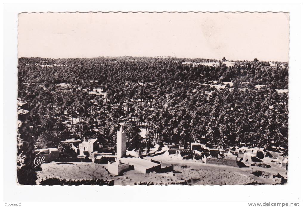 Algérie EL GOLEA Alger Palmeraie Très belle vue générale en 1955