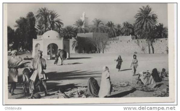 AFRIQUE  /  ALGERIE  /   EL GOLEA    