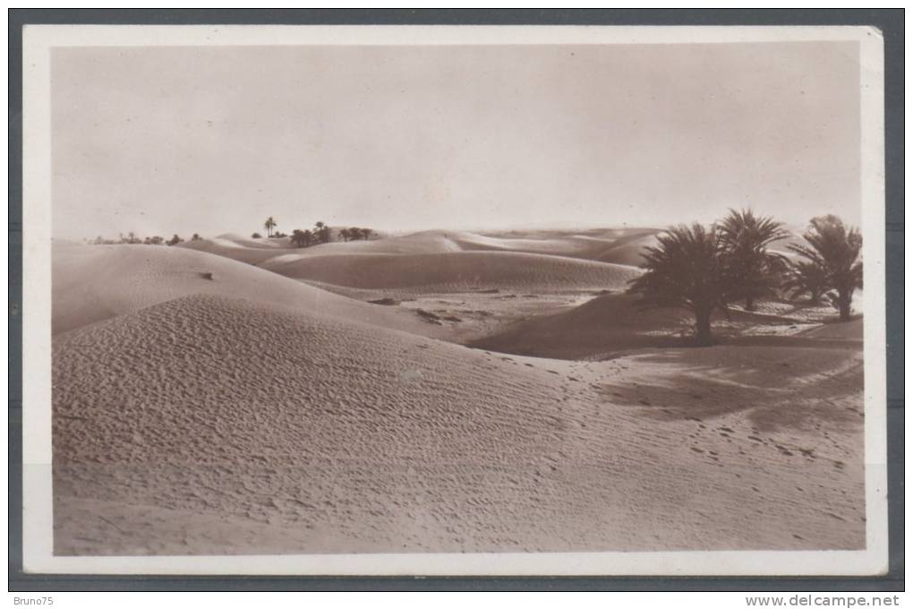 EL GOLEA - Les dunes et type de palmeraie non irriguée - 1939