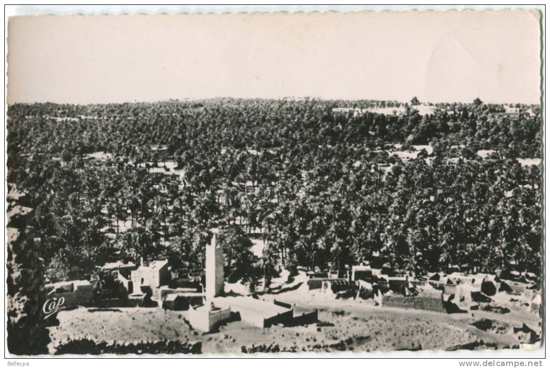 Algérie El Golea Palmeraie Vue générale