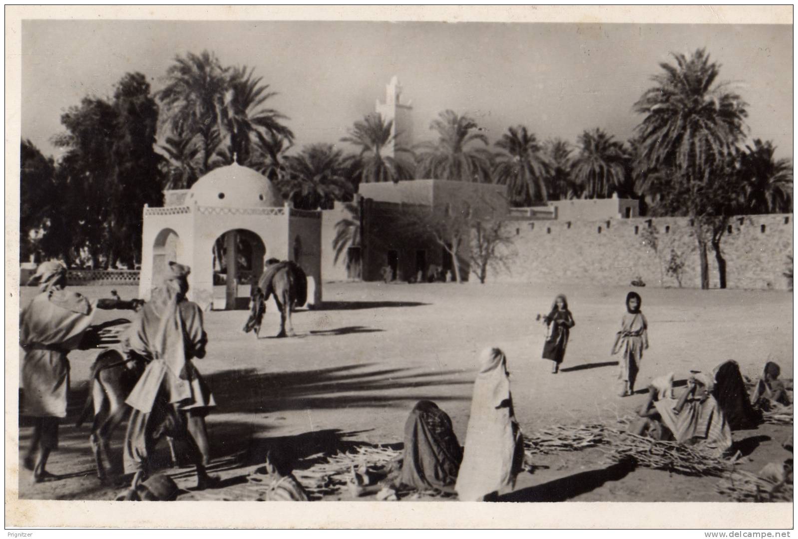 ALGERIE / ALGERIEN   El Golea