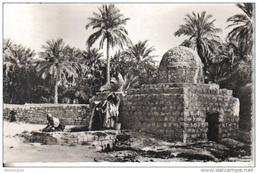 El Goléa  un puits artésien