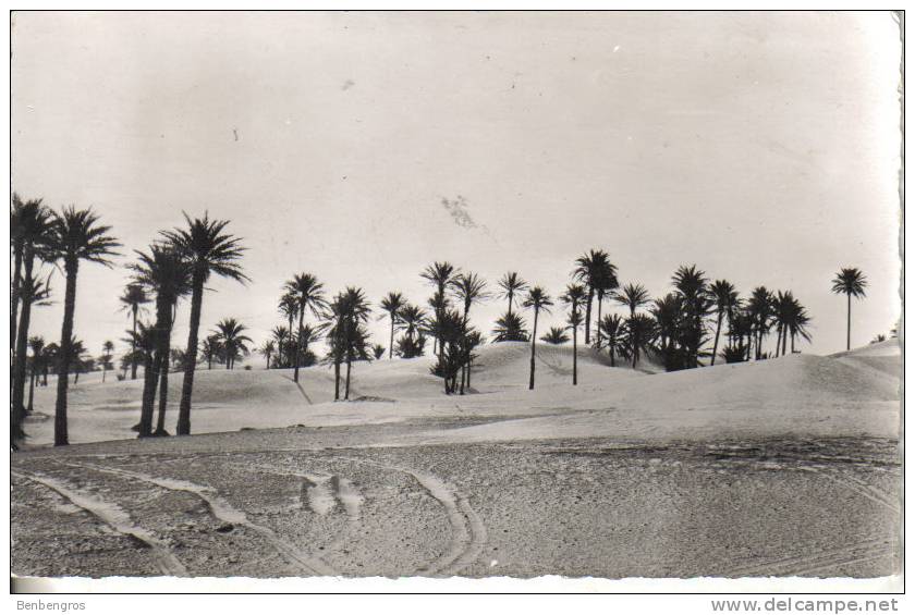 El Goléa  le grand erg