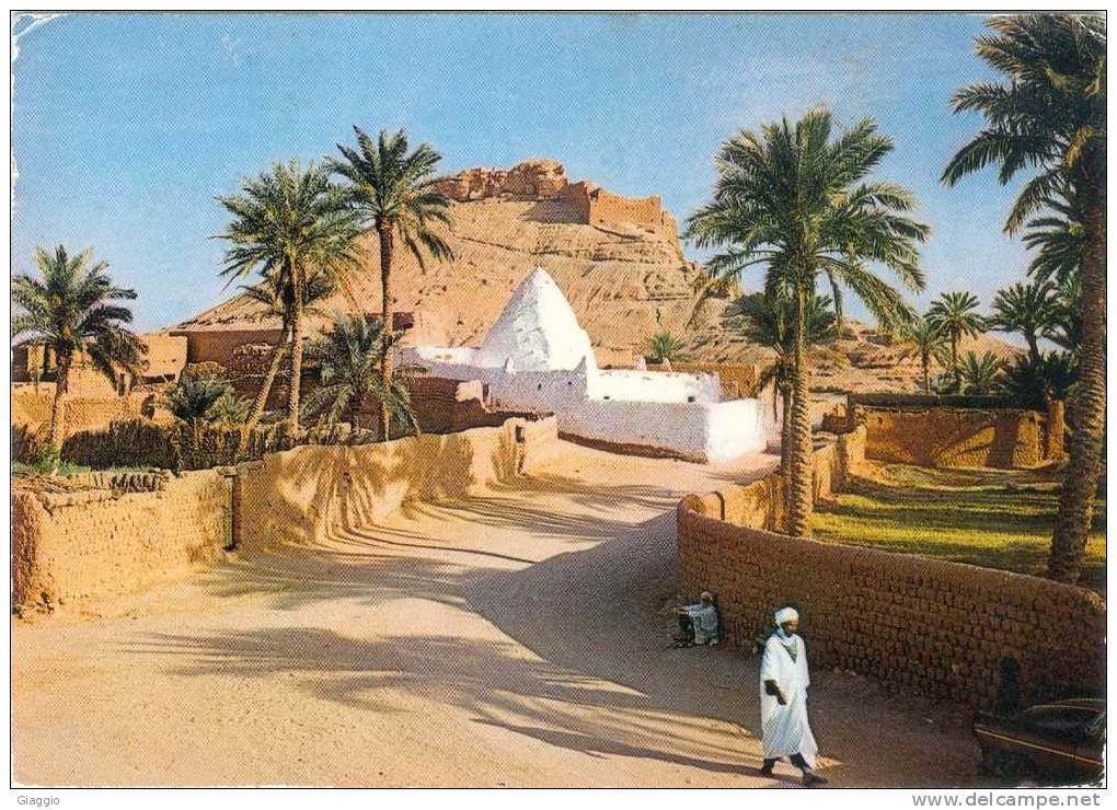 °°° ALGERIE - EL GOLEA - LE MARABOUT ET LE VIEUX KSAR °°°