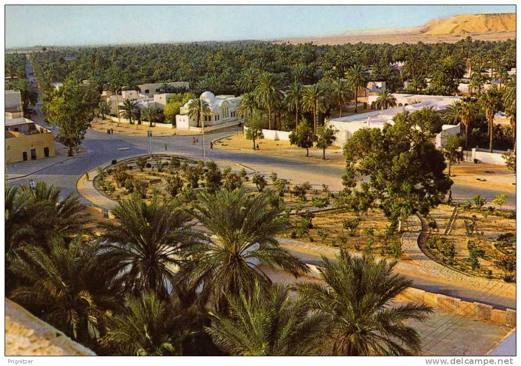 ALGERIE / ALGERIEN   El Golea  General view