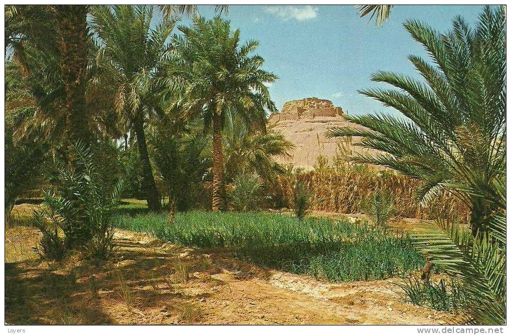 EL GOLEA.  Vue du vieux Ksar.