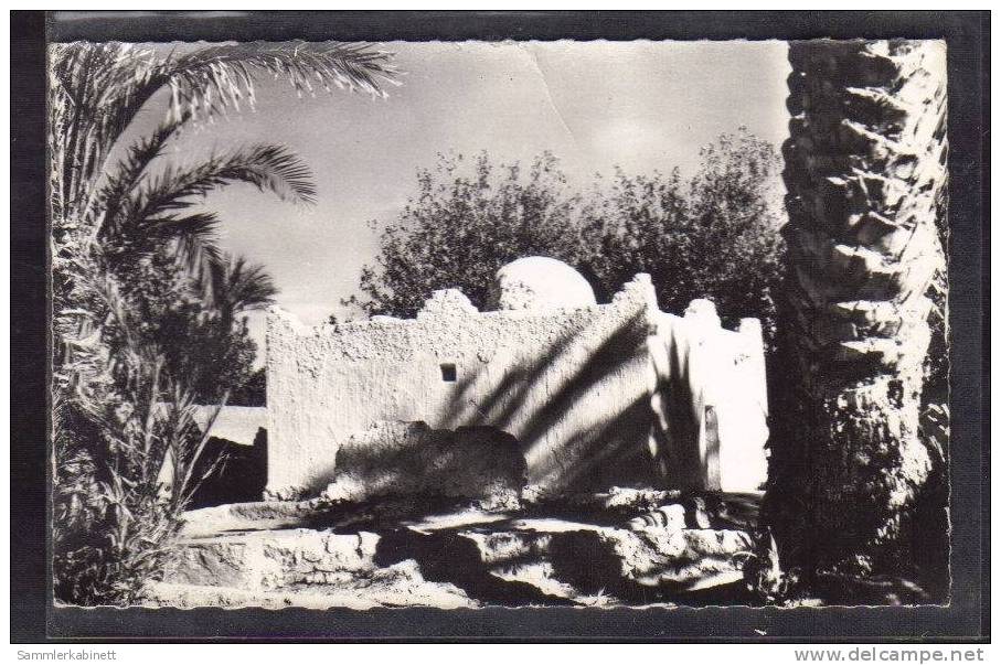 El Golea - Un Marabout