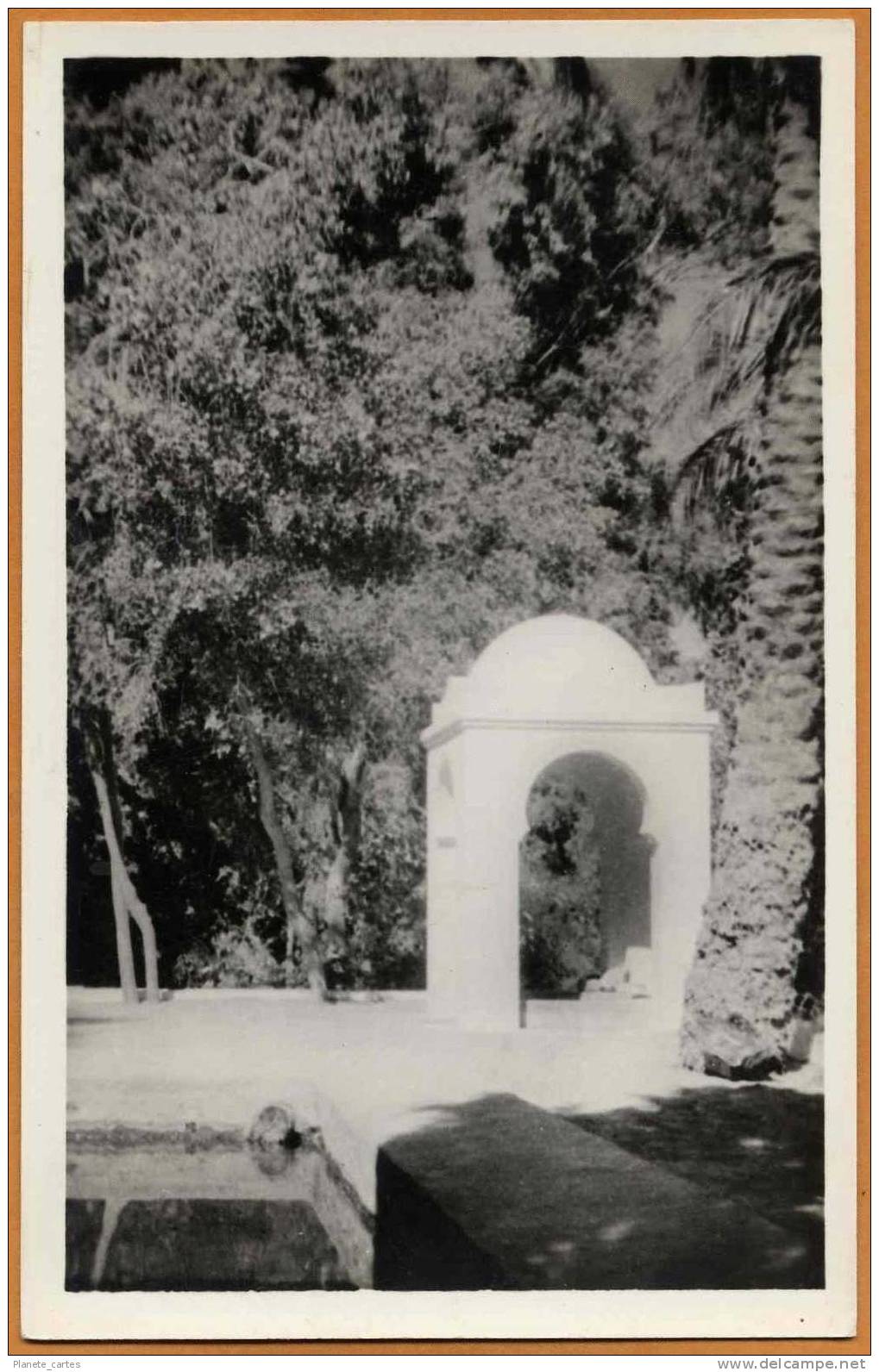 Algérie / EL GOLEA - Puits artésien, Jardins de l'Annexe (années 40-50)