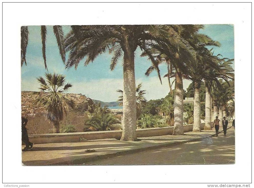 cp, Algérie, El Golea, Vue prise du Ksar, écrite