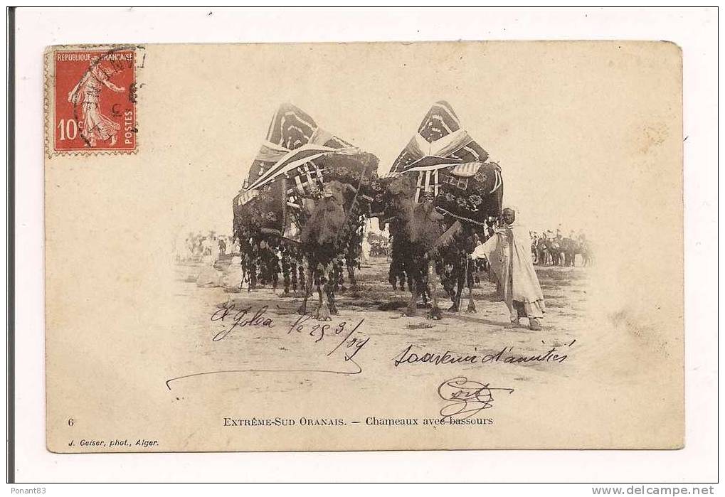 Extrême sud-oranais chameaux avec bassours - voyagé 1909 d´El Goléa  --