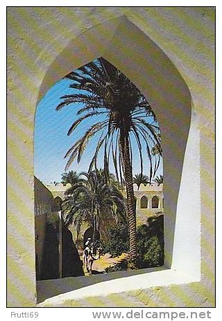 ALGERIA - AK 56441 El Goléa - vue pittoresque