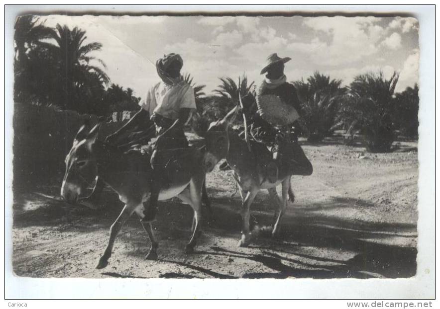 CPA EL GOLEA INDIGENES SUR LEURS BOURRICOTS