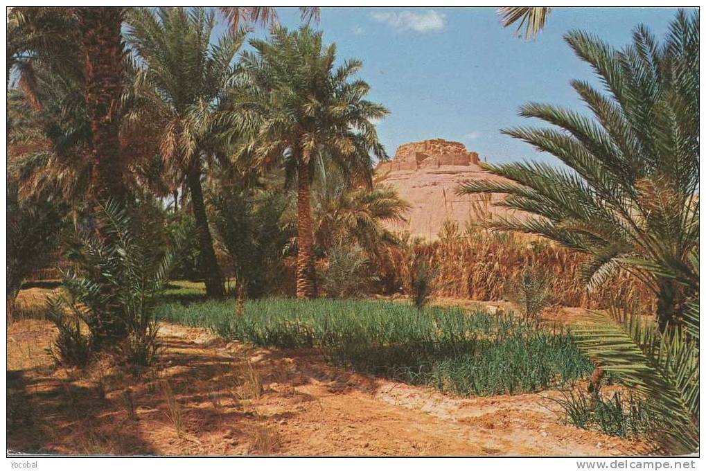 cp , ALGÉRIE , EL GOLEA , Vue du vieux Ksar