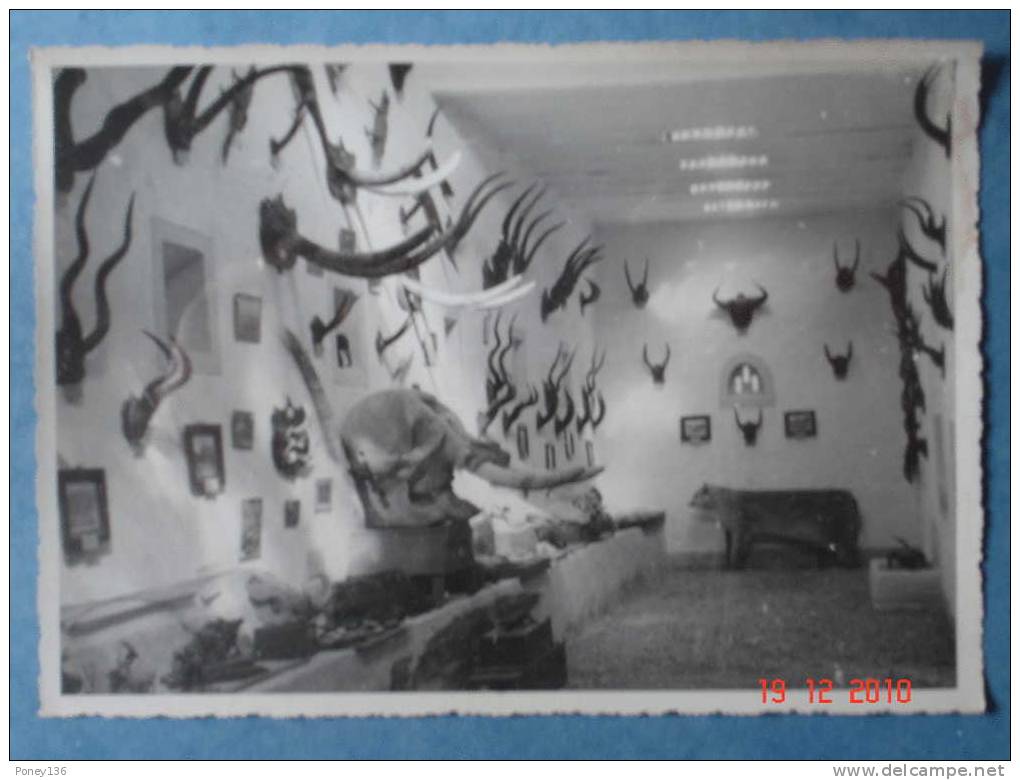 El-Golea,musee  colonnel aUGERIAS,salle du pavillon de chasse