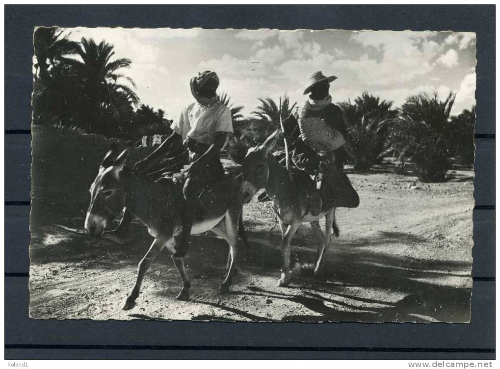 el-goléa - indigènes sur leurs bourricots
