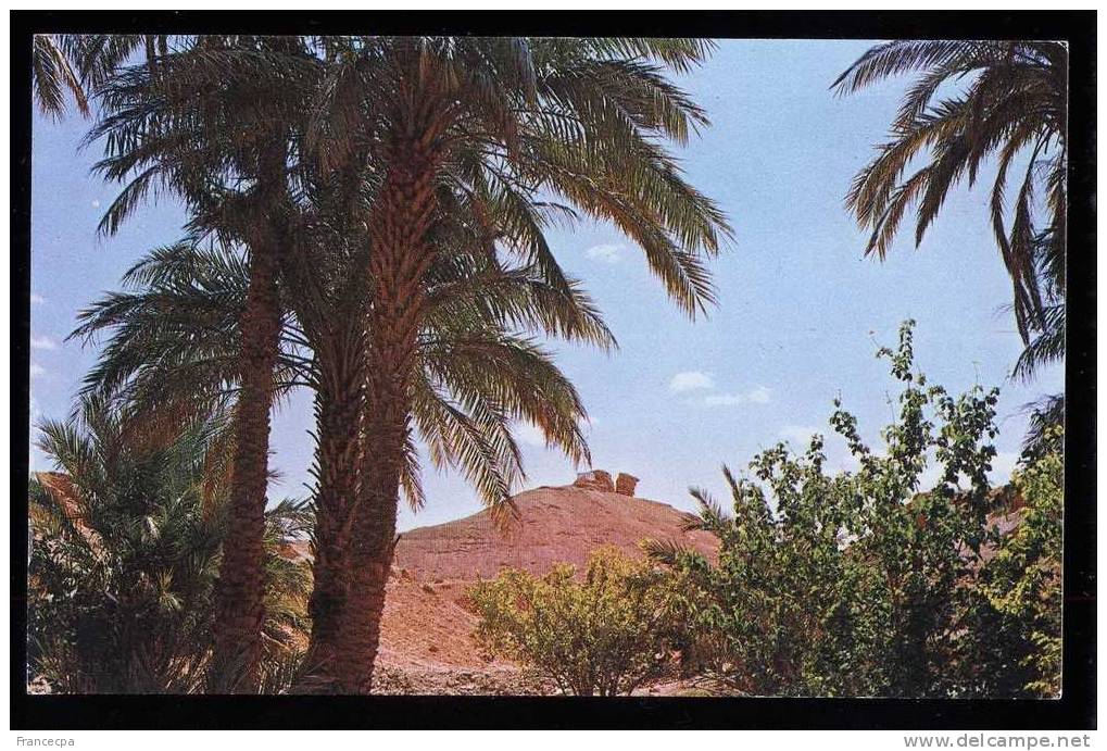 1986 - ALGERIE - EL-GOLEA - Timbouzid