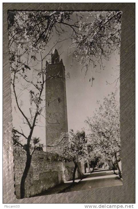 Carte Postale  Ancienne  EL GOLEA  Rue de la Mosquée