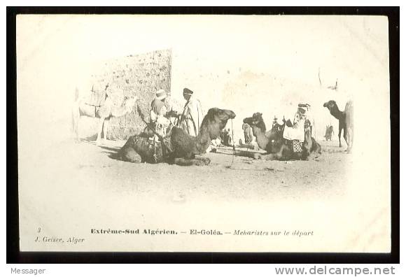EL-GOLEA - Extrême-Sud Algérien - 3  Méharistes sur le départ - (Beau plan animé)