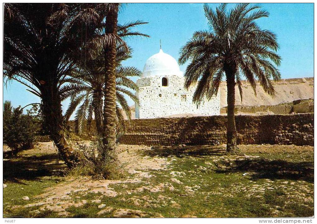 CPM/CPSM   El Golea Marabout    M177