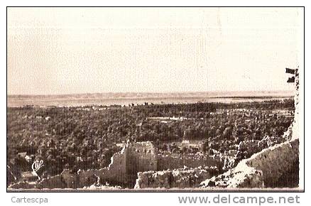 El golea palmeraie vue du vieux port