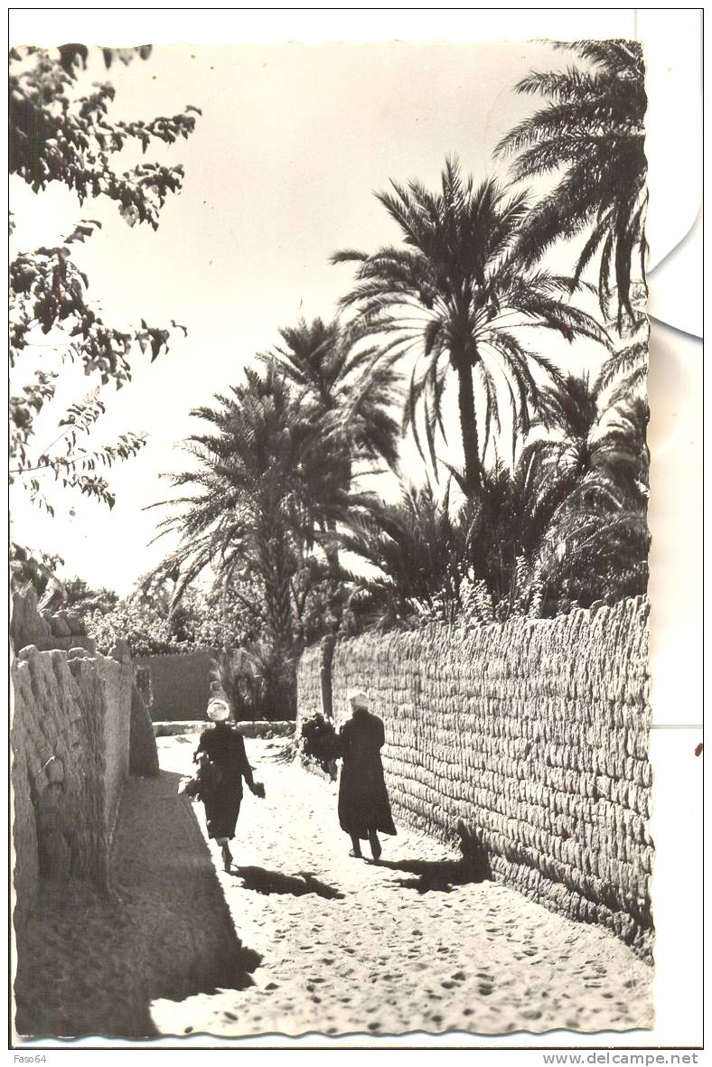 ALGERIE - EL GOLEA - Une ruelle de l´Oasis - CPSM