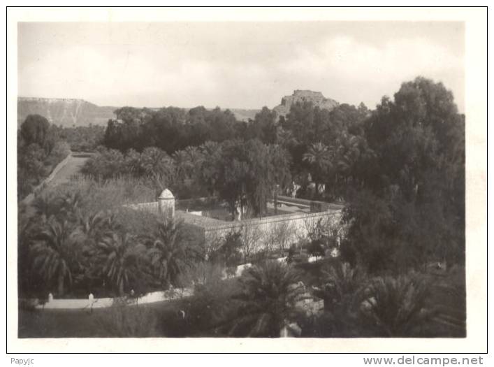 EL GOLEA - Le Parc du Bureau Arabe
