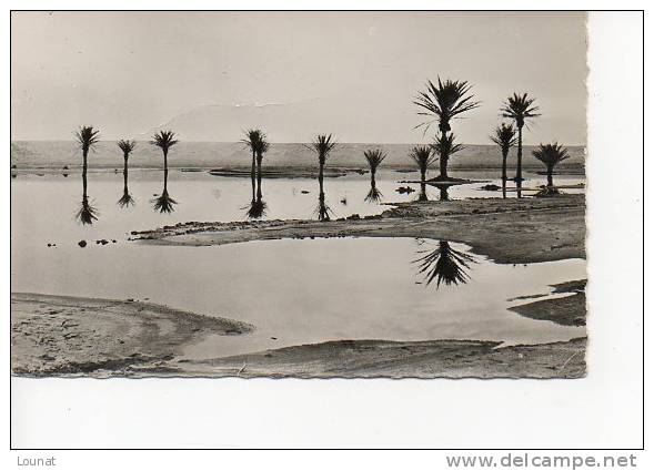 EL GOLEA. La Sebkha d'El Melah