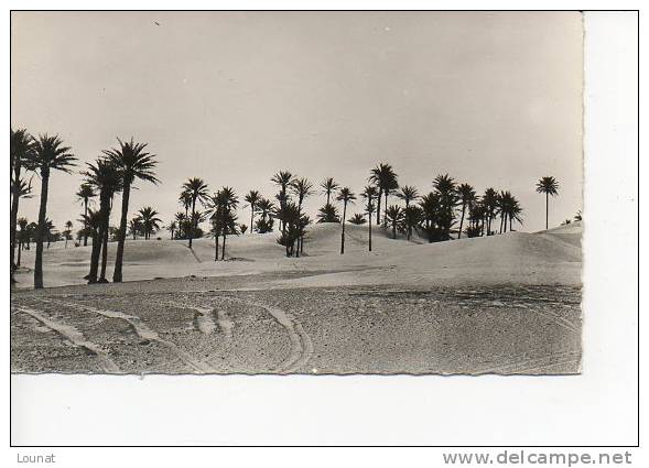 EL GOLEA. Le Grand Erg