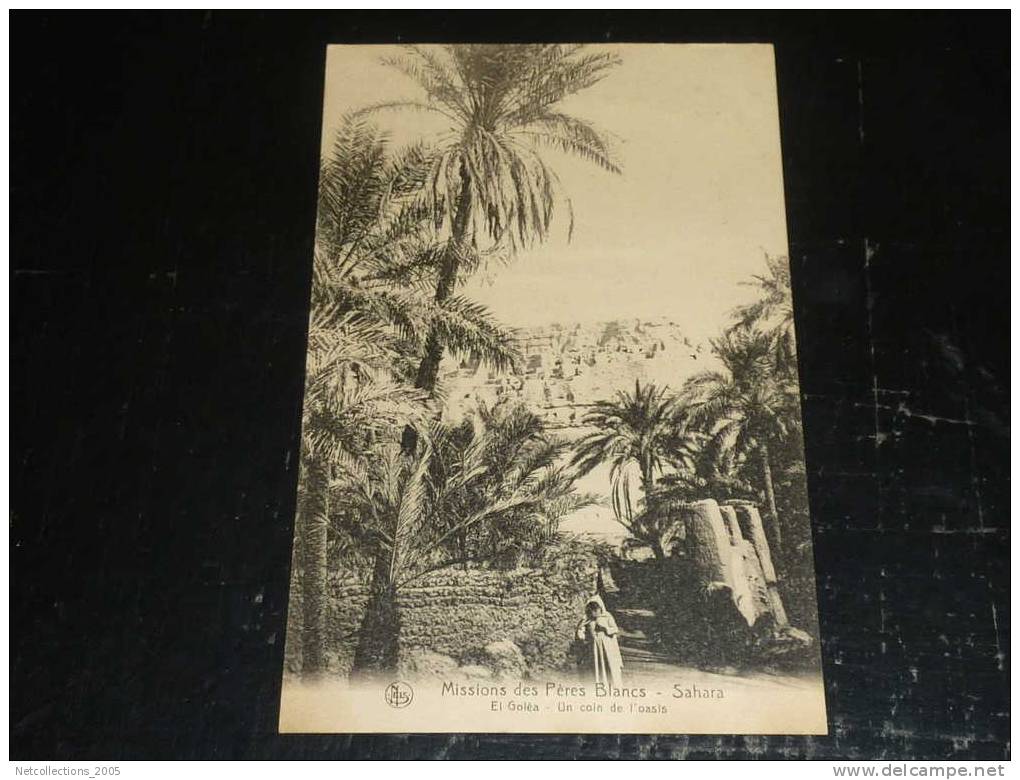 MISSIONS DES PERES BLANCS - SAHARA - EL GOLEA - UN COIN DE L'OASIS - AFRIQUE ALGERIE