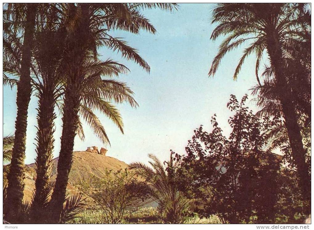 Ph-CPSM El Golea (Algérie) Caprice de la nature