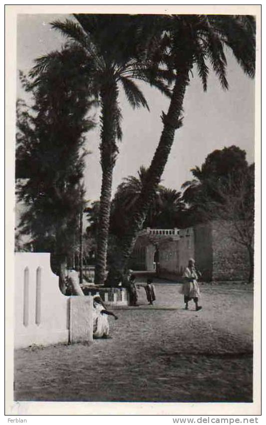 AFRIQUE. ALGERIE. EL GOLEA. Vue sur une Rue.