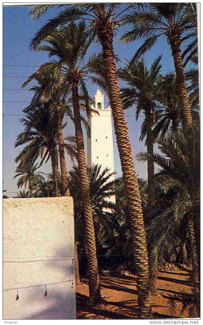 algerie carte postale N°4173 el golea la mosquee palmier ut TBE