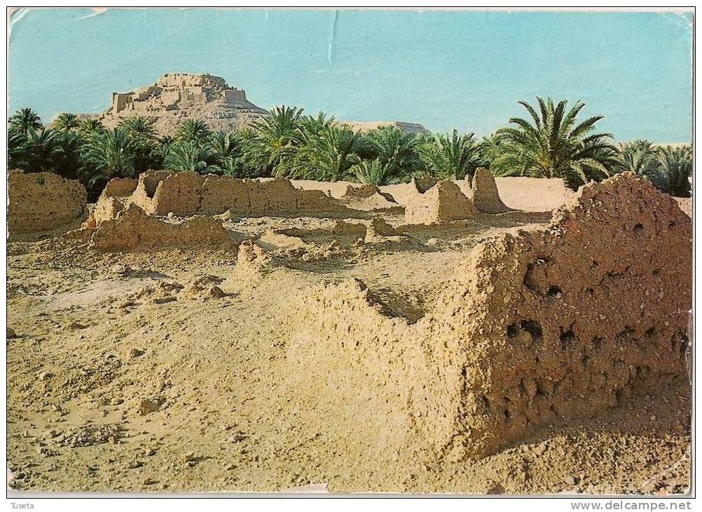 ALGERIE (Algeria) EL GOLEA - viaggiata - vedi