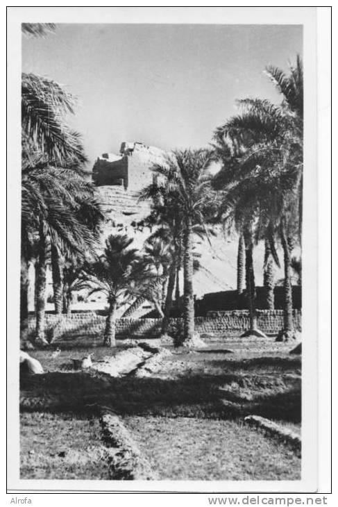 EL GOLEA  - La vielle forteresse  berbère