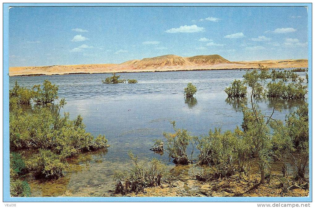 CARTE POSTALE 4174 EL GOLEA LA GRANDE SEBKRA . PRINTED IN FRANCE