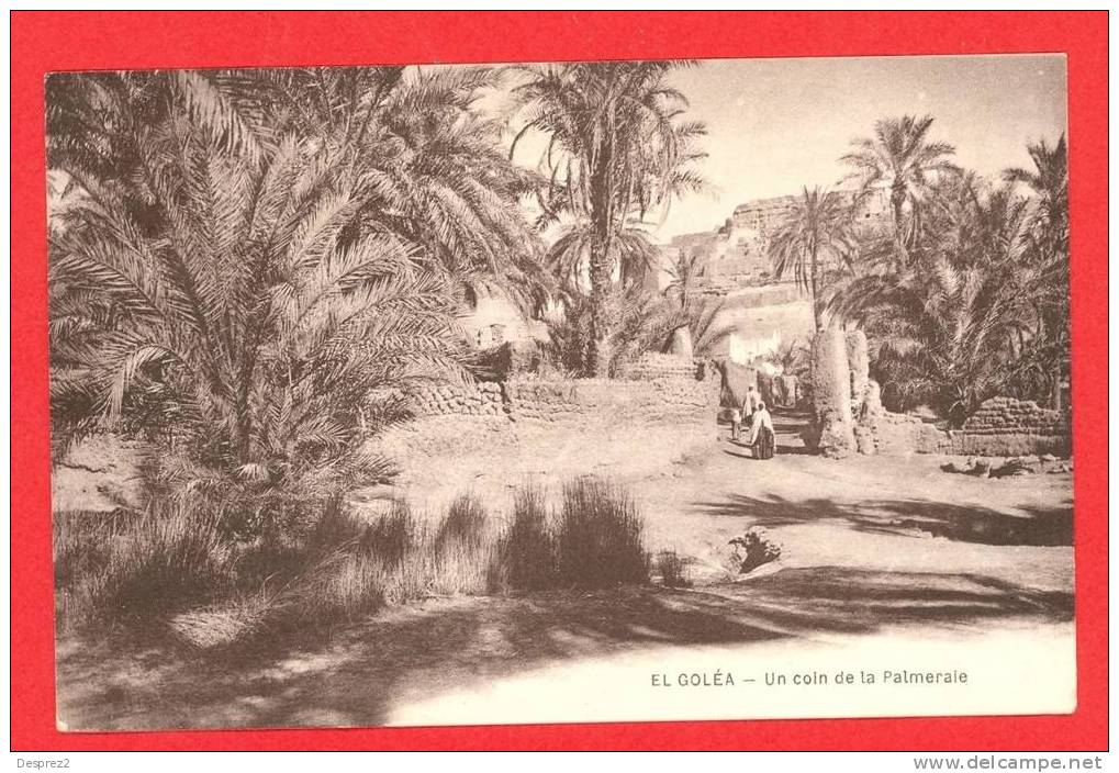 EL GOLEA cpa petite animation Un Coin de la Palmeraie