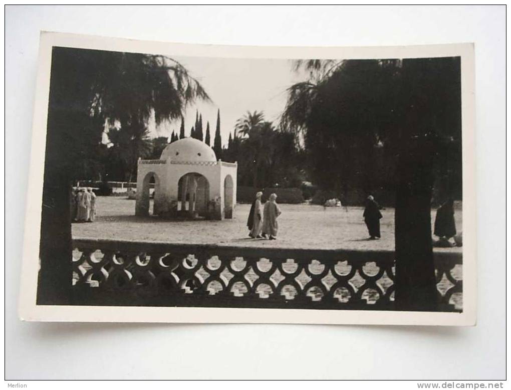 Algerie - El Golea - La Place du Marché  PU 1951    VF    D48022