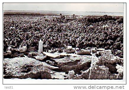Algérie - Z748 - El Golea - Vue générale de l'oasis - Semi moderne petit format - état