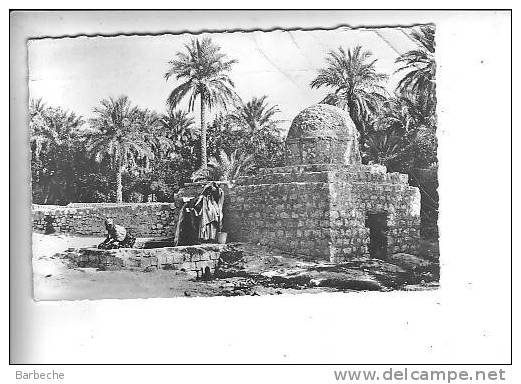 EL GOLEA .- Un Puits Artésien .