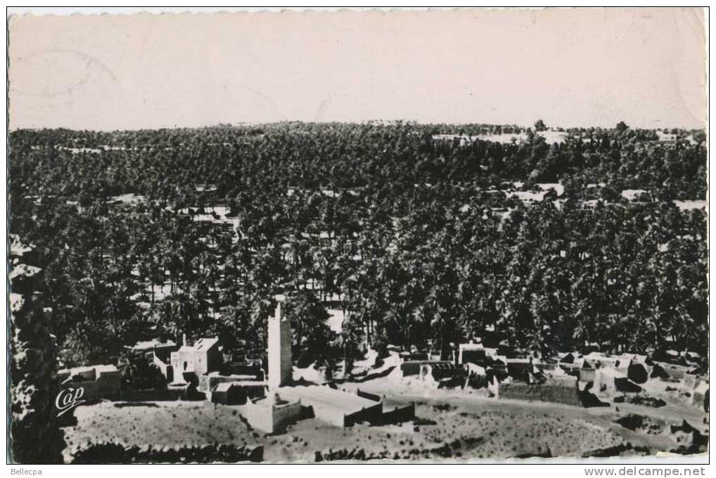 EL GOLEA Palmeraie vue générale cpsm