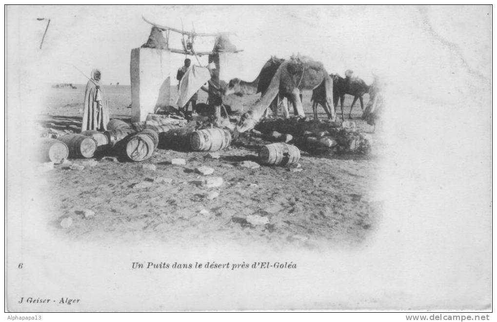 CPA ALGERIE EL GOLEA puits chameaux