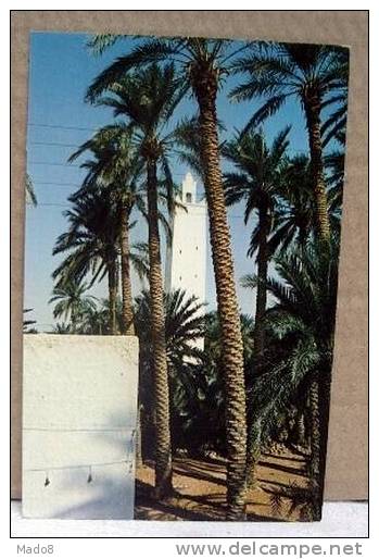 cpsm  El Goléa  Algérie  - la Mosquée , le Minaret à travers les palmiers -