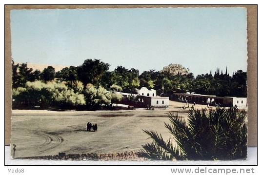 cpsm  El Goléa Algérie animée -Nouveau Marché , dans l´Oasis -